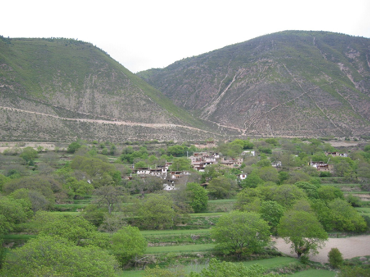 y4030117.jpg
