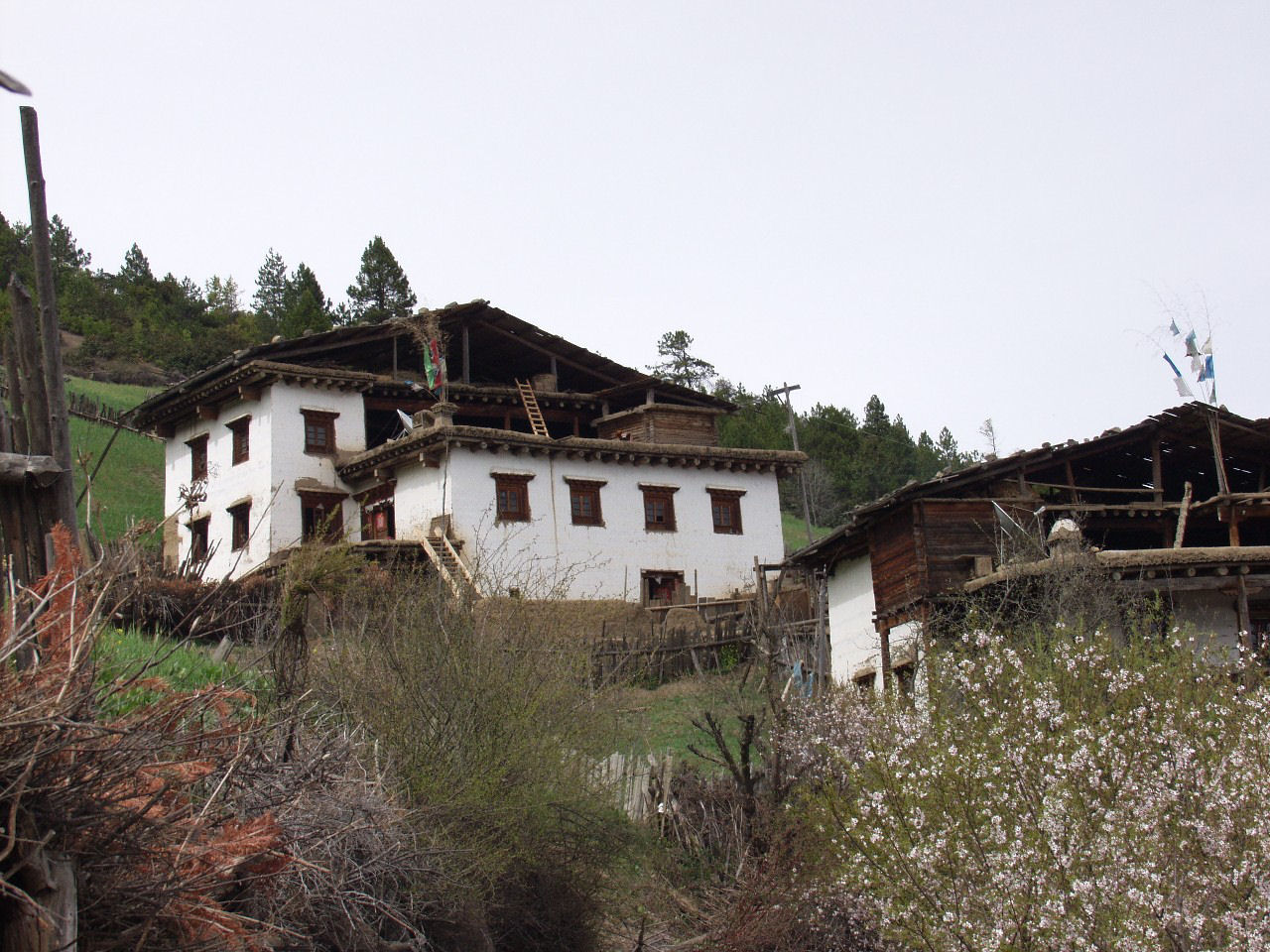 y4030318.jpg