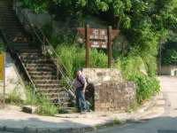Photo Number 13